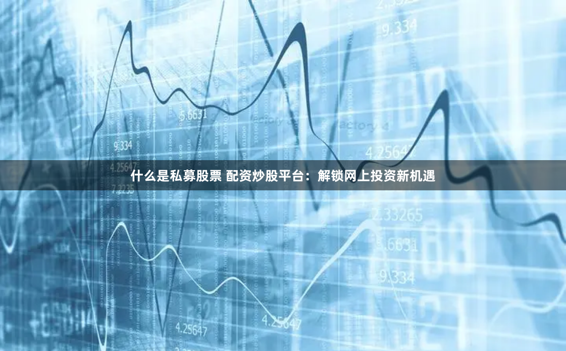 什么是私募股票 配资炒股平台：解锁网上投资新机遇