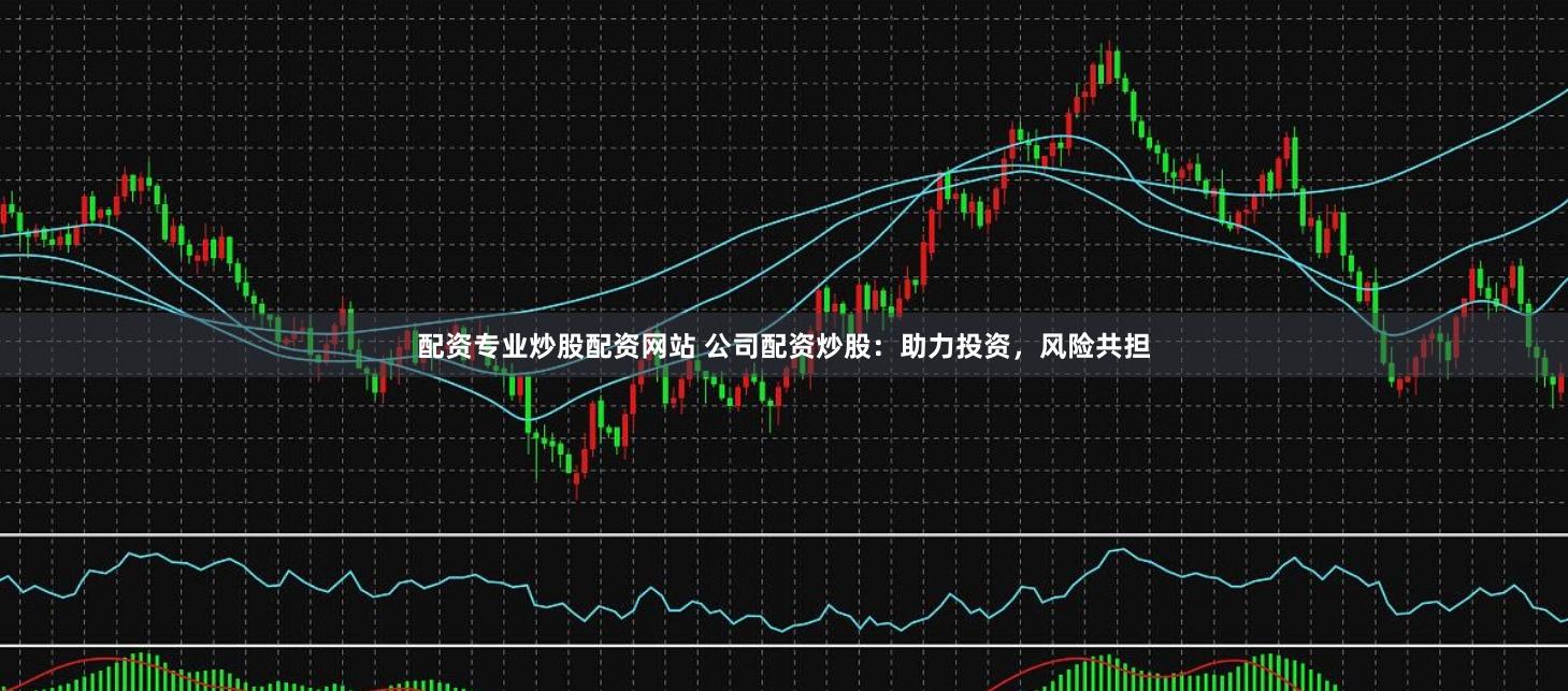 配资专业炒股配资网站 公司配资炒股：助力投资，风险共担
